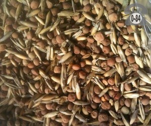 Семена вико-овсяная смесь сидерат (зелёное удобрение)